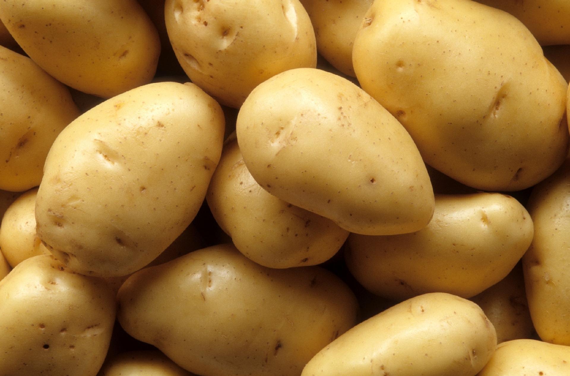 7. Em qual imagem vemos um "chuchu"?
